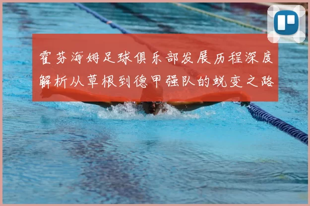 霍芬海姆足球俱乐部发展历程深度解析从草根到德甲强队的蜕变之路