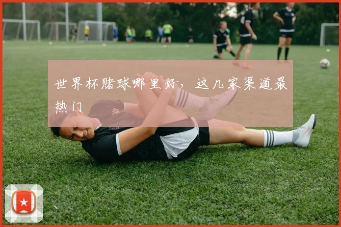 世界杯赌球哪里好，这几家渠道最热门
