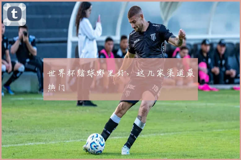 世界杯赌球哪里好，这几家渠道最热门