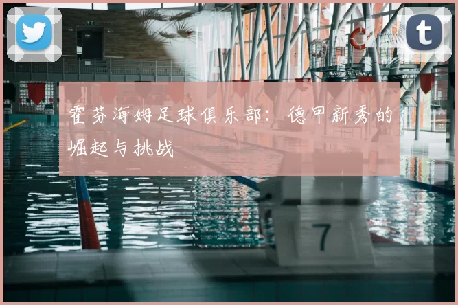 霍芬海姆足球俱乐部：德甲新秀的崛起与挑战