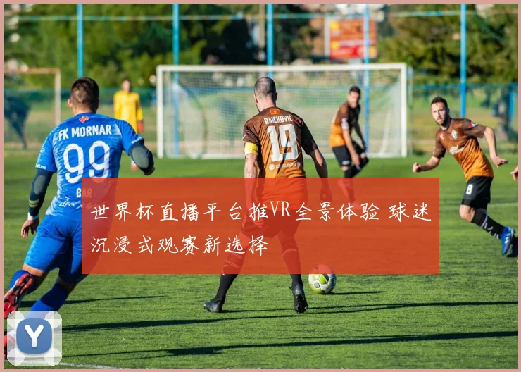 世界杯直播平台推VR全景体验 球迷沉浸式观赛新选择