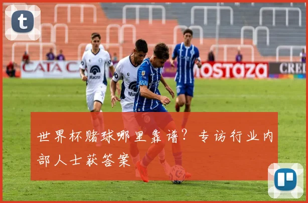 世界杯赌球哪里靠谱？专访行业内部人士获答案