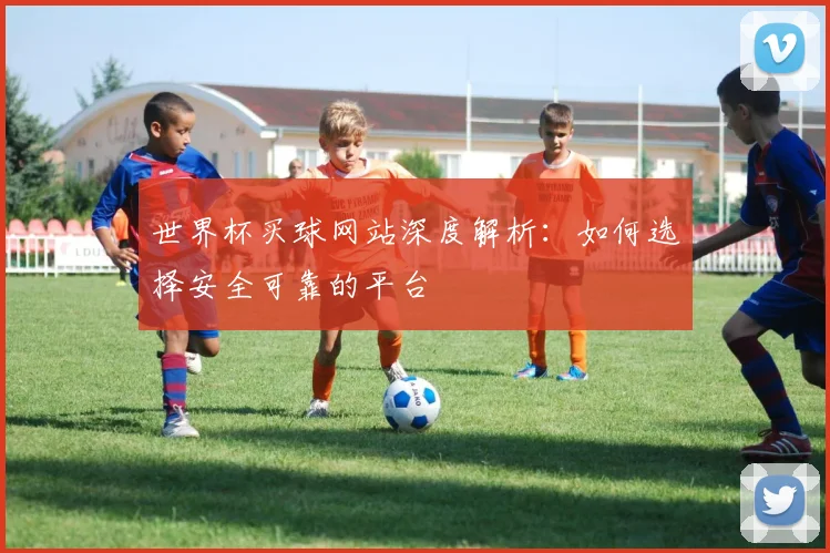 世界杯买球网站深度解析:如何选择安全可靠的平台