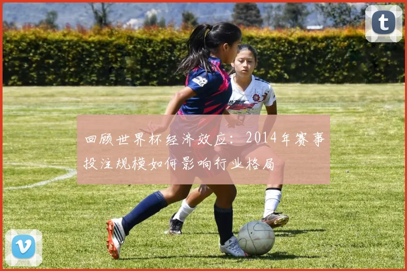 回顾世界杯经济效应：2014年赛事投注规模如何影响行业格局