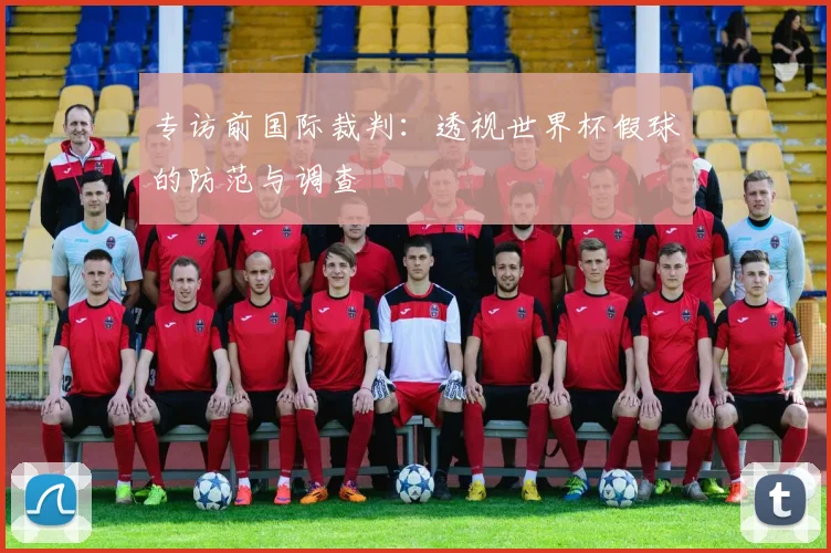专访前国际裁判：透视世界杯假球的防范与调查